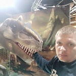 Веселый Антон Николаевич